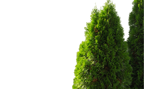 Преимущество