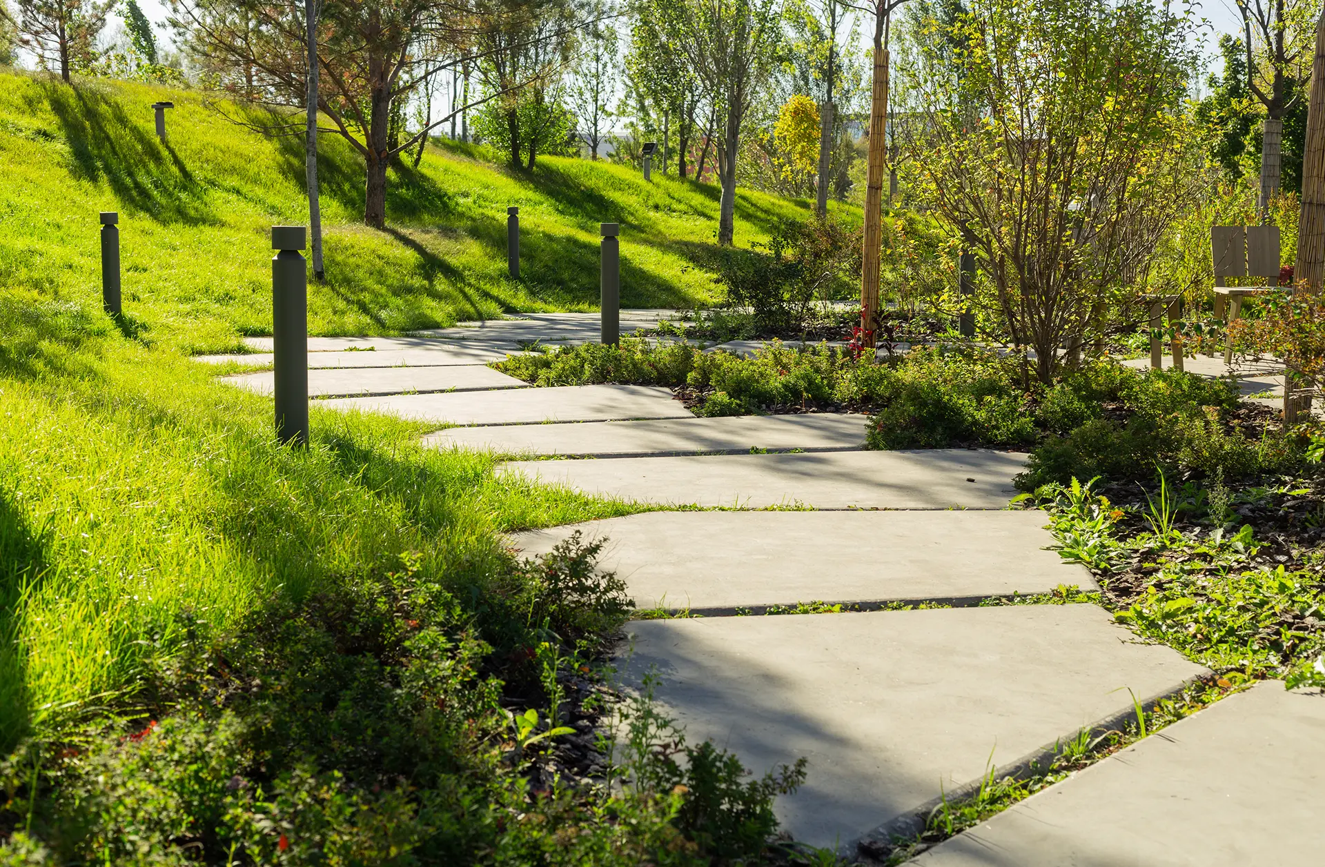 Главное изображение